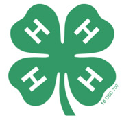 McKinney summer camps