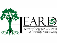 McKinney summer camps